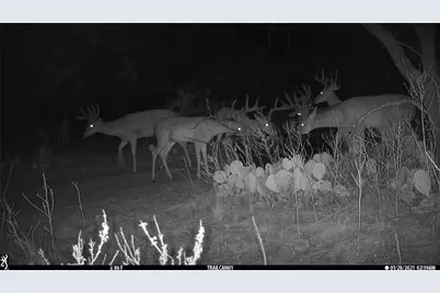1078 County Road 498, Goldsboro, TX 79519 - Photo 6