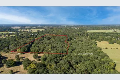 412 Rs County Road 1275, Emory, TX 75440 - Photo 14