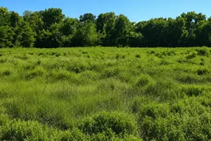 2653 Private Road 4830, Sulphur Springs, TX 75482 - Photo 1