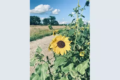 2653 Farm Road #5, Sulphur Springs, TX 75420 - Photo 8