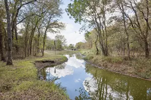 244 Longhorn Trail, Royse City, TX 75189 - Photo 14