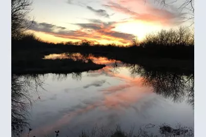 244 Longhorn Trail, Royse City, TX 75189 - Photo 22