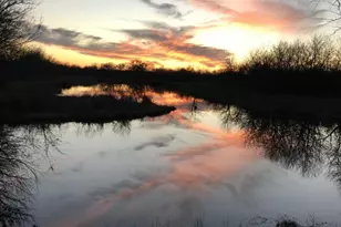 244 Longhorn Trail, Royse City, TX 75189 - Photo 22