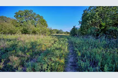 Tbd Alamo Road, Bowie, TX 76230 - Photo 6