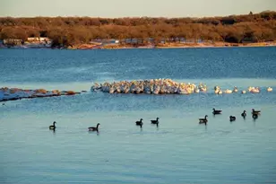 347 Pine Rd, Nocona, TX 76255 - Photo 20