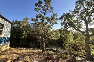 347 Pine Rd, Nocona, TX 76255 - Photo 8