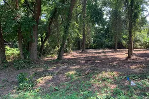 201 Young St, Bullard, TX 75757 - Photo 14