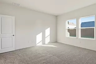 769 Tiger Lily Wy, Pilot Point, TX 76258 - Photo 10