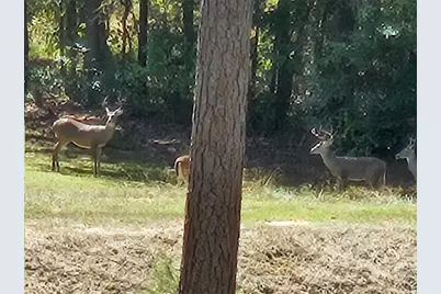 4491 S Fm 2869, Hawkins, TX 75765 - Photo 32