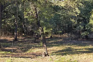 125 Comanche Trail, Nocona, TX 76255 - Photo 1