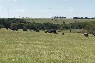 1332 Co Rd 423, Muenster, TX 76252 - Photo 6