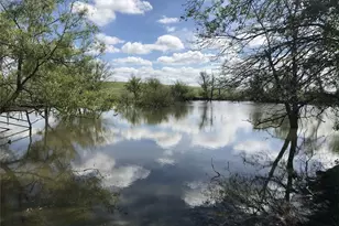 1332 Co Rd 423, Muenster, TX 76252 - Photo 4