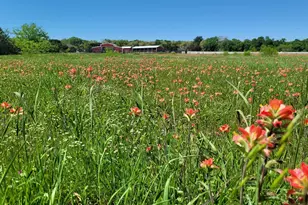 3164 Clater Powell Rd, Waco, TX 76705 - Photo 34
