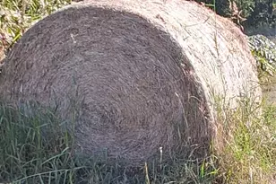 190 County Rd 3198, Valley Mills, TX 76689 - Photo 28