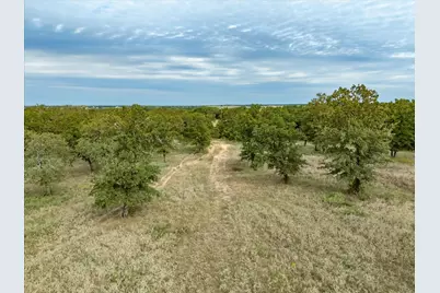 Tbd Cr-2690 Road, Alvord, TX 76225 - Photo 14
