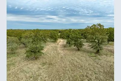 Tbd County Road 2690, Alvord, TX 76225 - Photo 14