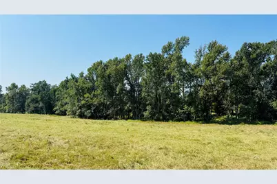 Tbd Fm 2909, Canton, TX 75103 - Photo 2