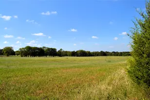 0 Vz Cr 2702, Mabank, TX 75147 - Photo 8