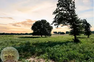 Lot 54 Camden Ln, Springtown, TX 76082 - Photo 1