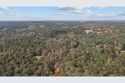 530 An County Road 1215, Grapeland, TX 75844 - Photo 28