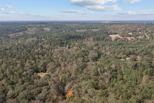 530 An County Road 1215, Grapeland, TX 75844 - Photo 28