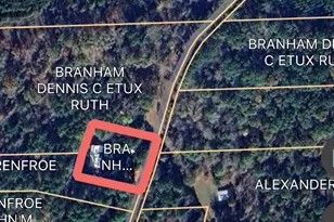 530 An County Road 1215, Grapeland, TX 75844 - Photo 30