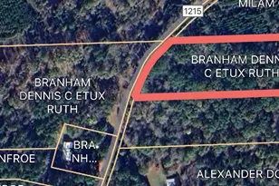 530 An County Road 1215, Grapeland, TX 75844 - Photo 32