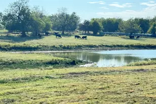 1258 County Road 352 Rd, Gainesville, TX 76240 - Photo 1