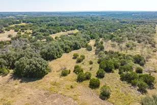 1483 Co Rd 2435, Hico, TX 76457 - Photo 10