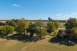9645 Scrib Ln, Anna, TX 75409 - Photo 14