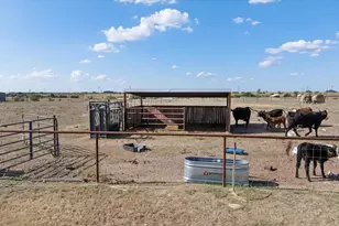 2425 Co Rd 184, Stephenville, TX 76401 - Photo 36