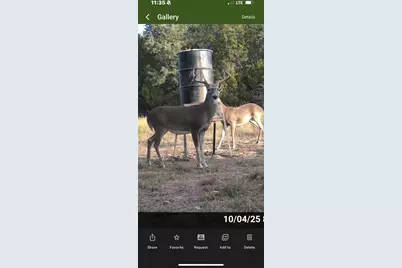 5106 Fm 51, Glen Rose, TX 76043 - Photo 2