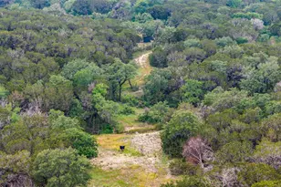 5106 FM 51, Glen Rose, TX 76043 - Photo 10