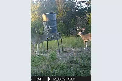 5106 Fm 51, Glen Rose, TX 76043 - Photo 4