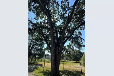 191 Cherry Lane, Streetman, TX 75859 - Photo 34