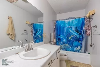 217 County Road 370, Sweetwater, TX 79556 - Photo 24