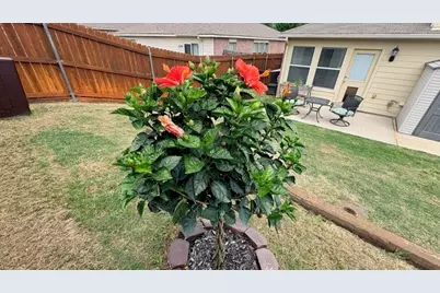 4140 Silverwood Trail, Fort Worth, TX 76244 - Photo 20