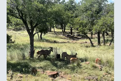 2266 Stagecoach Trail, Gordon, TX 76453 - Photo 8