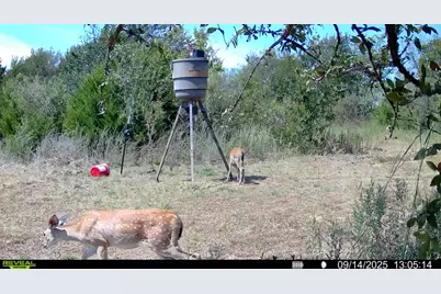 13762 SW Fm 639, Barry, TX 75102 - Photo 10