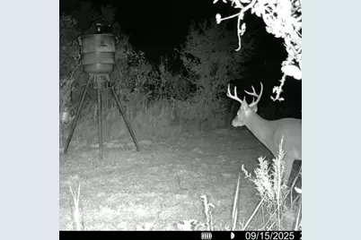 13762 SW Fm 639, Barry, TX 75102 - Photo 2