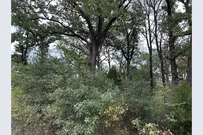 102 Navarro Drive, Mabank, TX 75156 - Photo 4