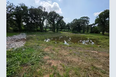 1053 Llano Way, Poolville, TX 76487 - Photo 40
