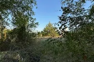 187 Hudson St, Newark, TX 76071 - Photo 12