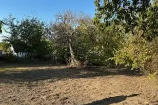187 Hudson St, Newark, TX 76071 - Photo 10