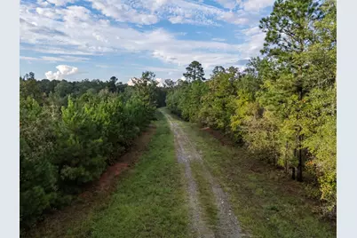 Tbd Fm 1998, Karnack, TX 75661 - Photo 28