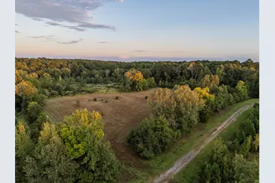 Tbd Fm 1998, Karnack, TX 75661 - Photo 6