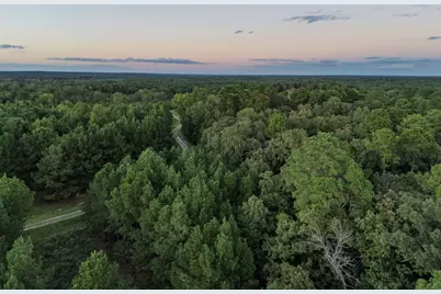 Tbd Fm 1998, Karnack, TX 75661 - Photo 38