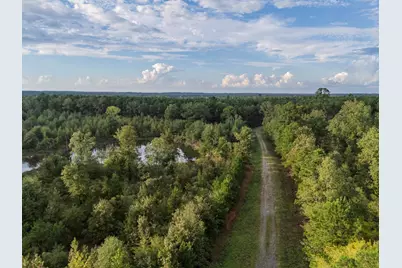 Tbd Fm 1998, Karnack, TX 75661 - Photo 10