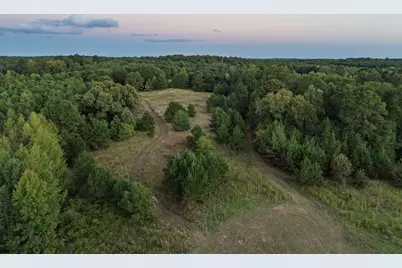 Tbd Fm 1998, Karnack, TX 75661 - Photo 8