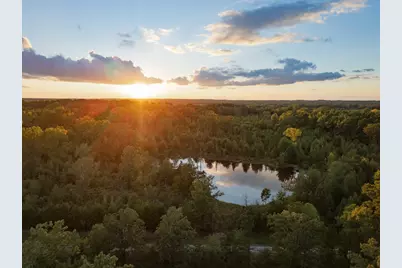 Tbd Fm 1998, Karnack, TX 75661 - Photo 12